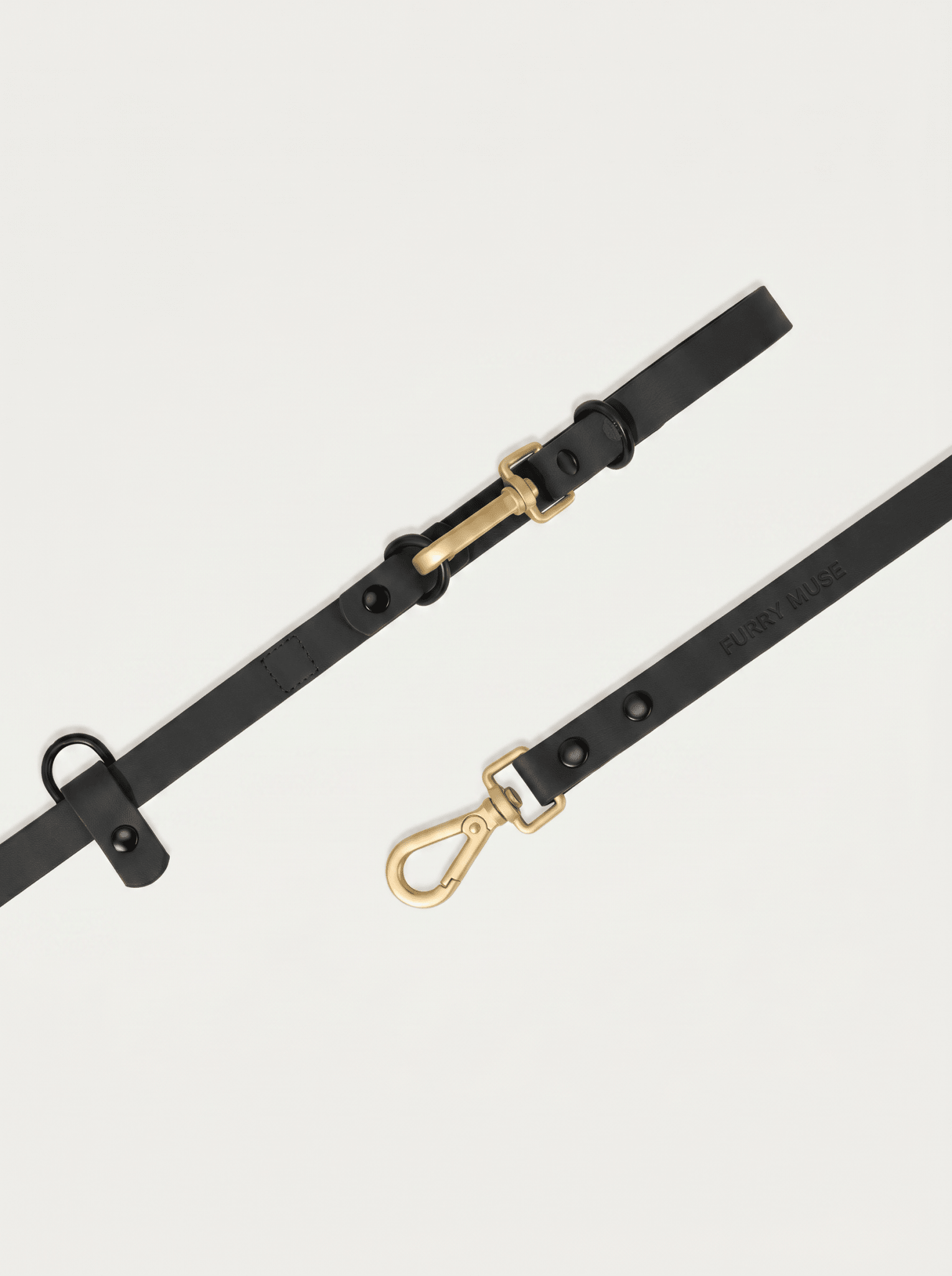 Wander! Collar Kit Midnight - Gold - FURRY MUSE WAN-CKIT-S-BLK-6FT-GO