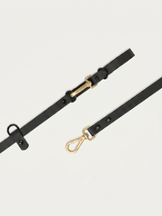 Wander! Collar Kit Midnight - Gold - FURRY MUSE WAN-CKIT-S-BLK-6FT-GO