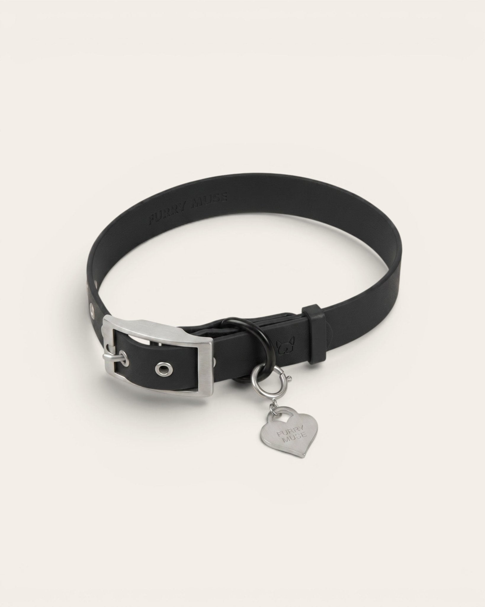 Wander! Collar Kit Midnight - Silver - FURRY MUSE WAN-CKIT-S-BLK-6FT-SI