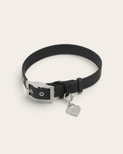 Wander! Collar Kit Midnight - Silver - FURRY MUSE WAN-CKIT-S-BLK-6FT-SI