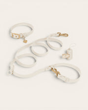 Wander! Collar Kit Pearl - Gold - FURRY MUSE WAN-CKIT-S-WH-6FT-GO