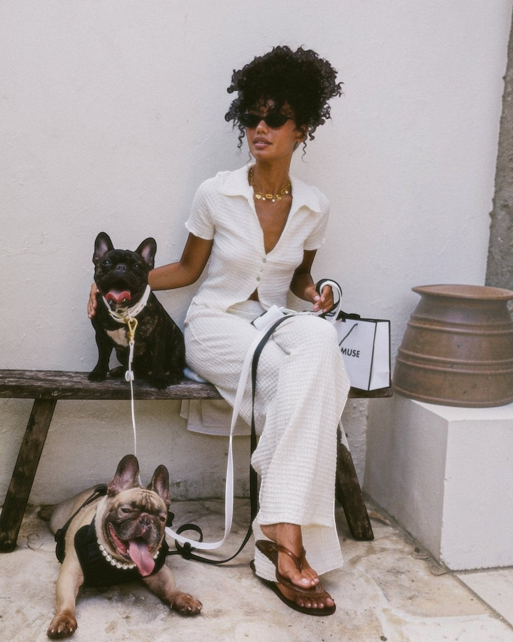 Wander! Collar Kit Pearl - Silver - FURRY MUSE WAN-CKIT-S-WH-6FT-SI
