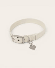 Wander! Collar Kit Pearl - Silver - FURRY MUSE WAN-CKIT-S-WH-6FT-SI