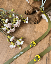 Wander! Collar & Leash Kit Martini - FURRY MUSE WAN - CKIT - S - OL