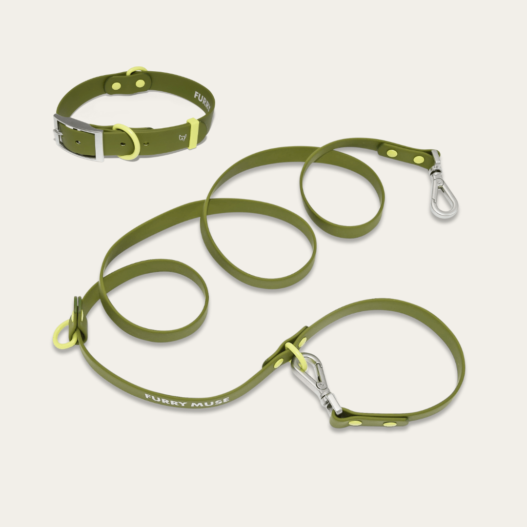Wander! Collar & Leash Kit Martini - FURRY MUSE WAN - CKIT - S - OL