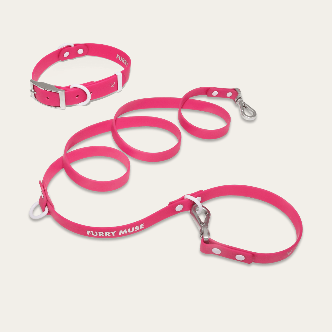 Wander! Collar & Leash Kit Petunia - FURRY MUSE WAN - CKIT - S - MA