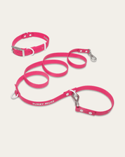 Wander! Collar & Leash Kit Petunia - FURRY MUSE WAN - CKIT - S - MA