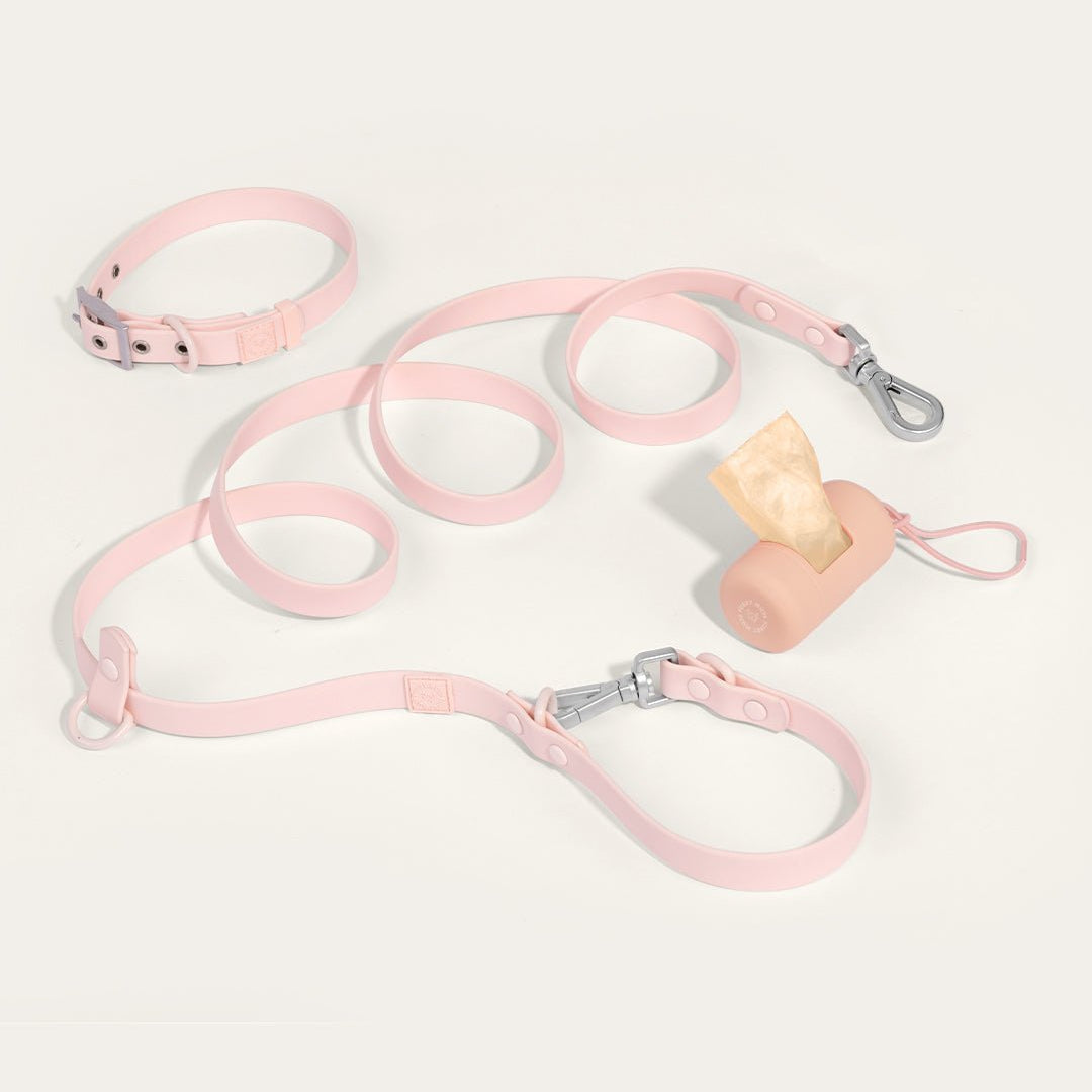 Wander! Collar, Leash, & Poop Pouch Kit Blossom - FURRY MUSE WAN - CKIT - S - PN
