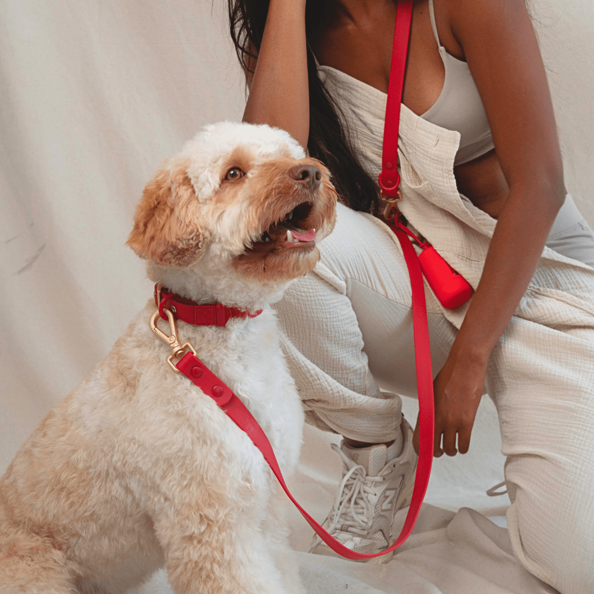 Wander! Collar, Leash, & Poop Pouch Kit Cherry - FURRY MUSE WAN - CKIT - S - RD