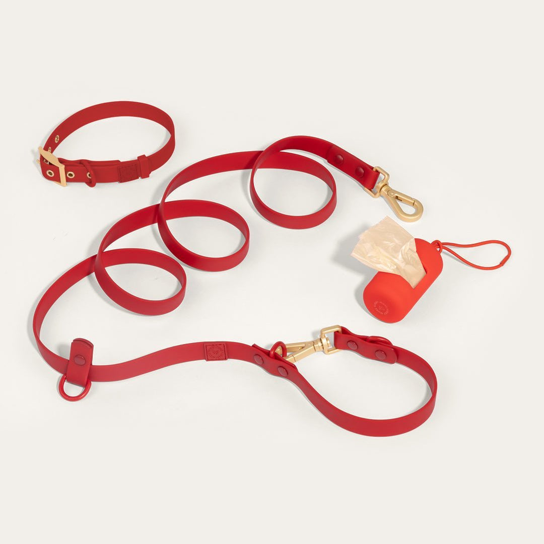 Wander! Collar, Leash, & Poop Pouch Kit Cherry - FURRY MUSE WAN - CKIT - S - RD