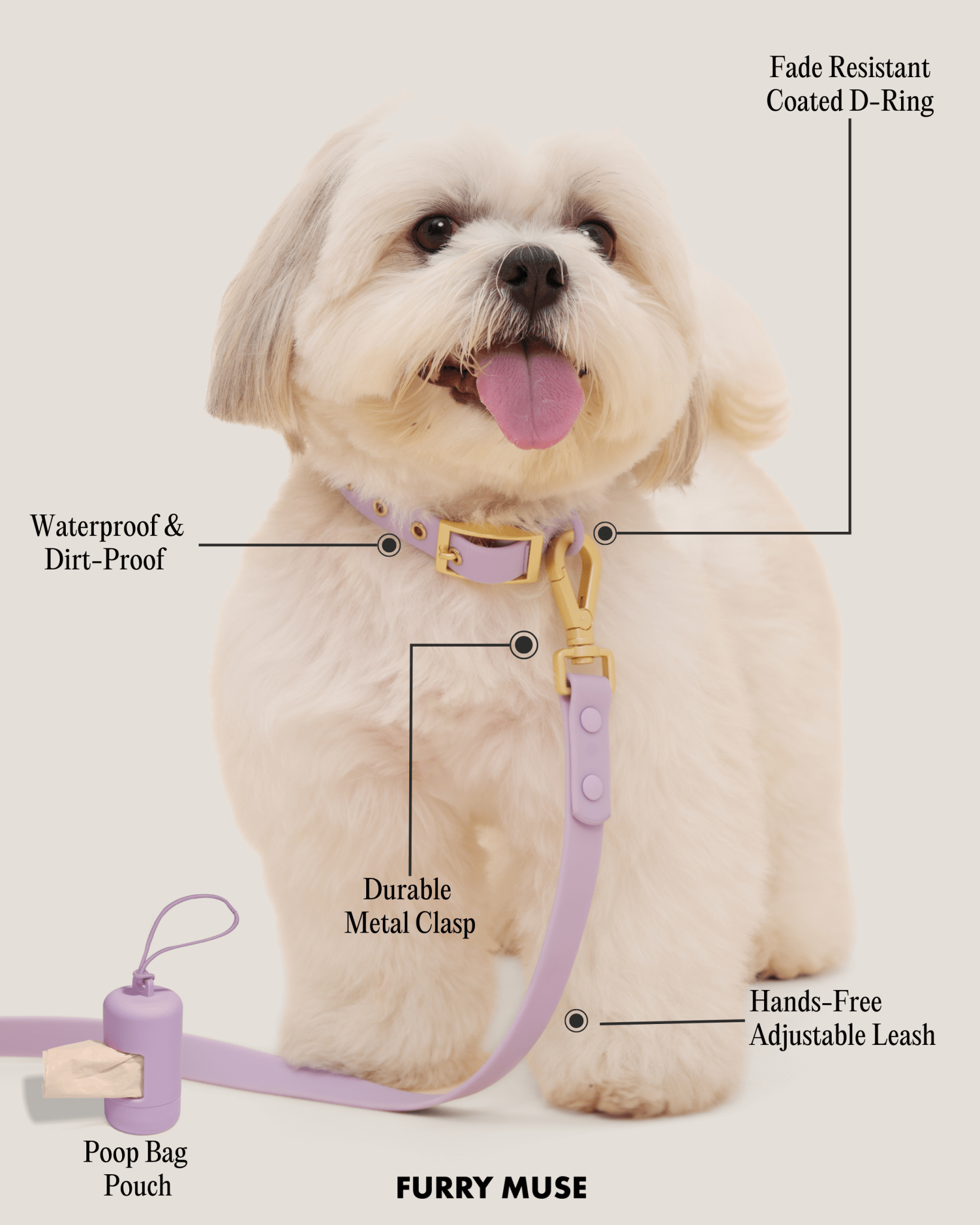 Wander! Collar, Leash, & Poop Pouch Kit Lilac - FURRY MUSE