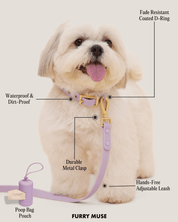 Wander! Collar, Leash, & Poop Pouch Kit Lilac - FURRY MUSE