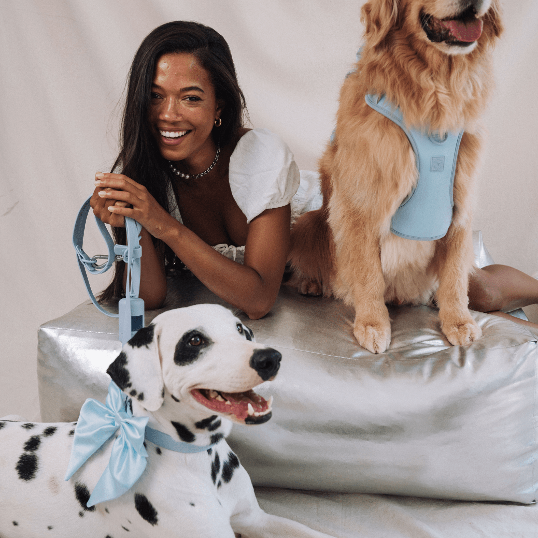 Wander! Collar, Leash, & Poop Pouch Kit Sky - FURRY MUSE WAN - CKIT - S - BL
