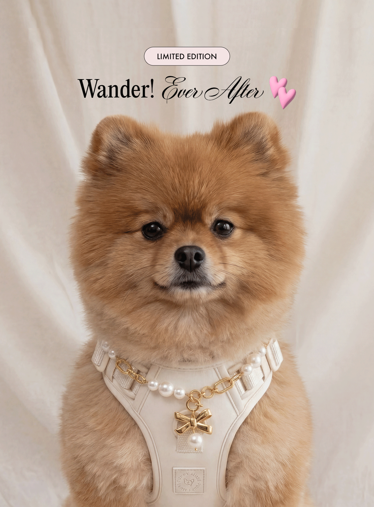 wander-ever-after.gif