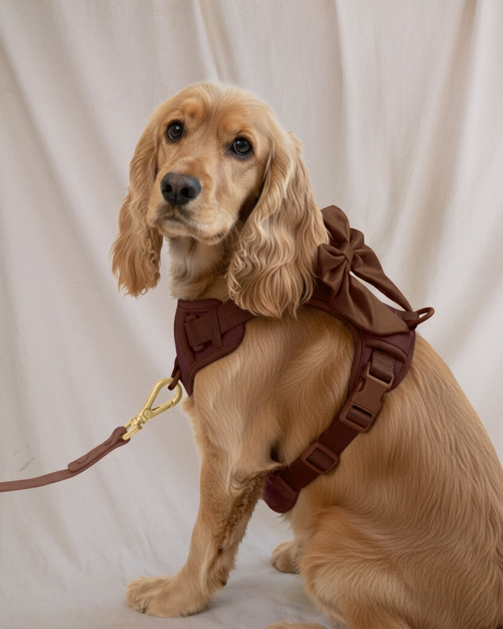 Wander! Harness Kit – Cocoa | Dog Walking Set – FURRY MUSE