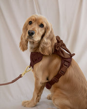 Wander! Multiway 6ft Leash - Cocoa - FURRY MUSE WAN-LEA-6FT-BR