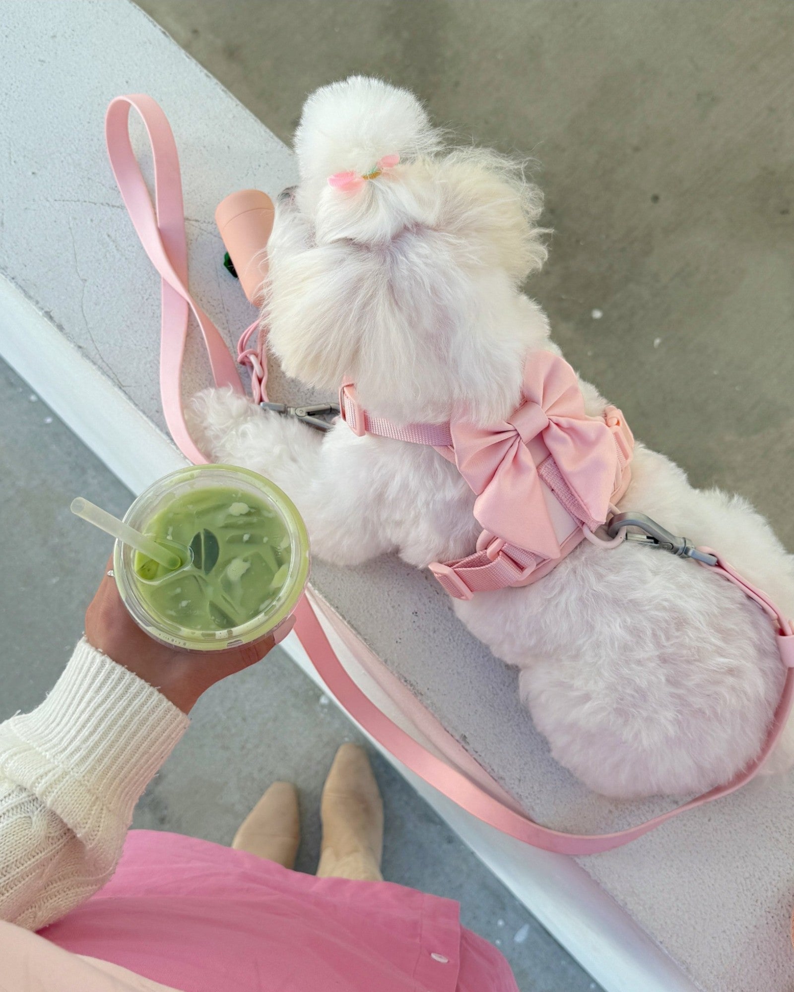 Wander! Multiway Leash - Blossom - FURRY MUSE WAN-LEA-6FT-PN