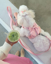 Wander! Multiway Leash - Blossom - FURRY MUSE WAN-LEA-6FT-PN