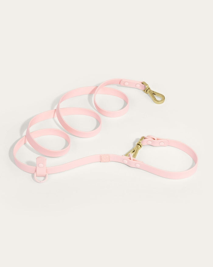 Wander! Multiway Leash - Blossom - FURRY MUSE WAN-LEA-6FT-PN
