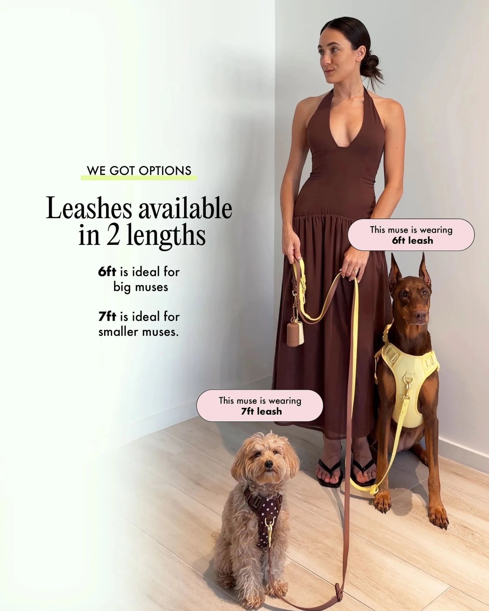Wander! Multiway Leash - Blossom - FURRY MUSE WAN-LEA-6FT-PN-SI