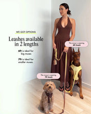 Wander! Multiway Leash - Blossom - FURRY MUSE WAN-LEA-6FT-PN-SI