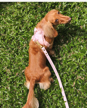 Wander! Multiway Leash - Blossom Gingham - FURRY MUSE WAN-LEA-6FT-PNP
