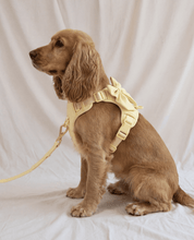 Wander! Multiway Leash - Buttercream - FURRY MUSE WAN-LEA-6FT-YL