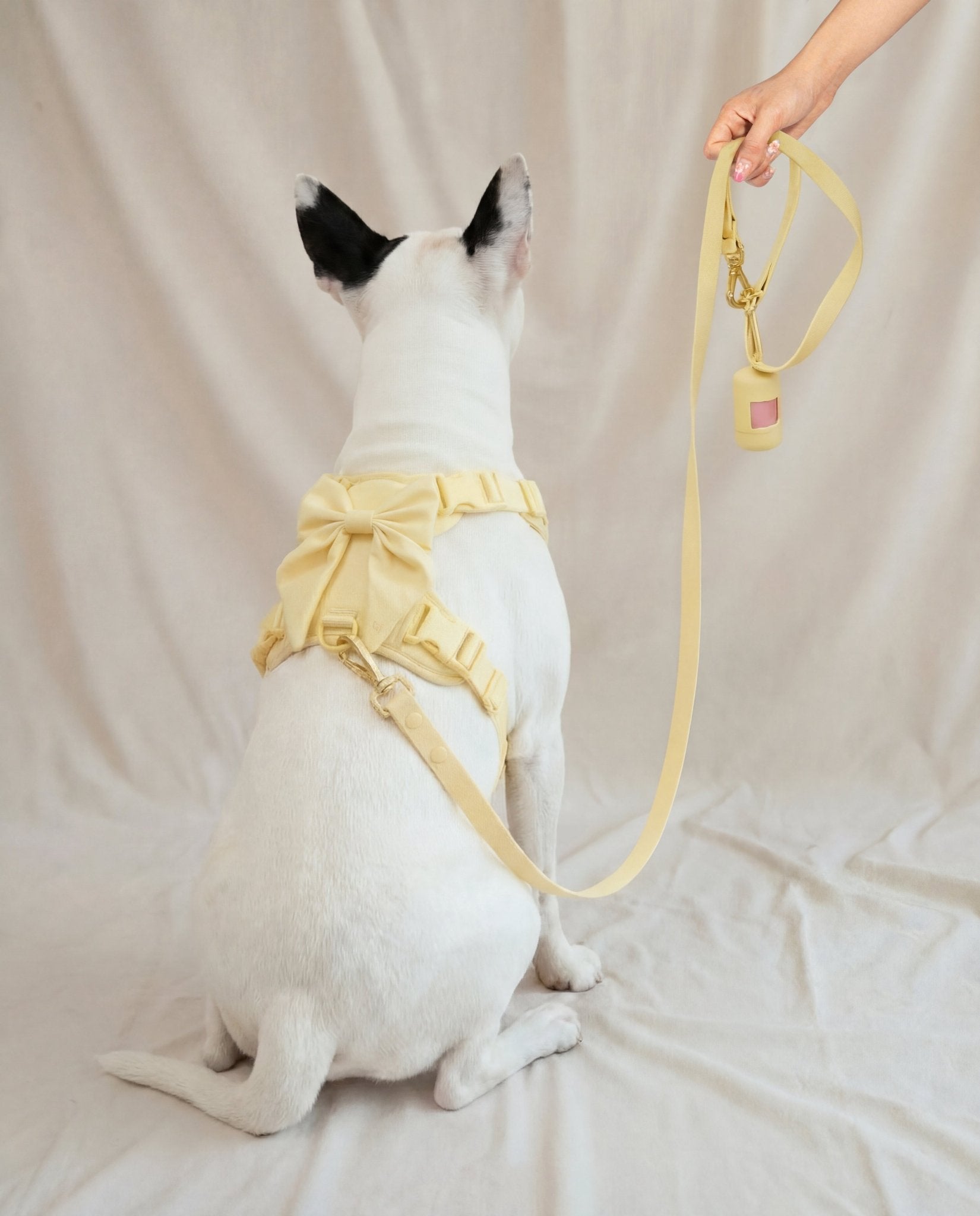 Wander! Multiway Leash - Buttercream - FURRY MUSE WAN-LEA-7FT-YL