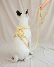 Wander! Multiway Leash - Buttercream - FURRY MUSE WAN-LEA-7FT-YL