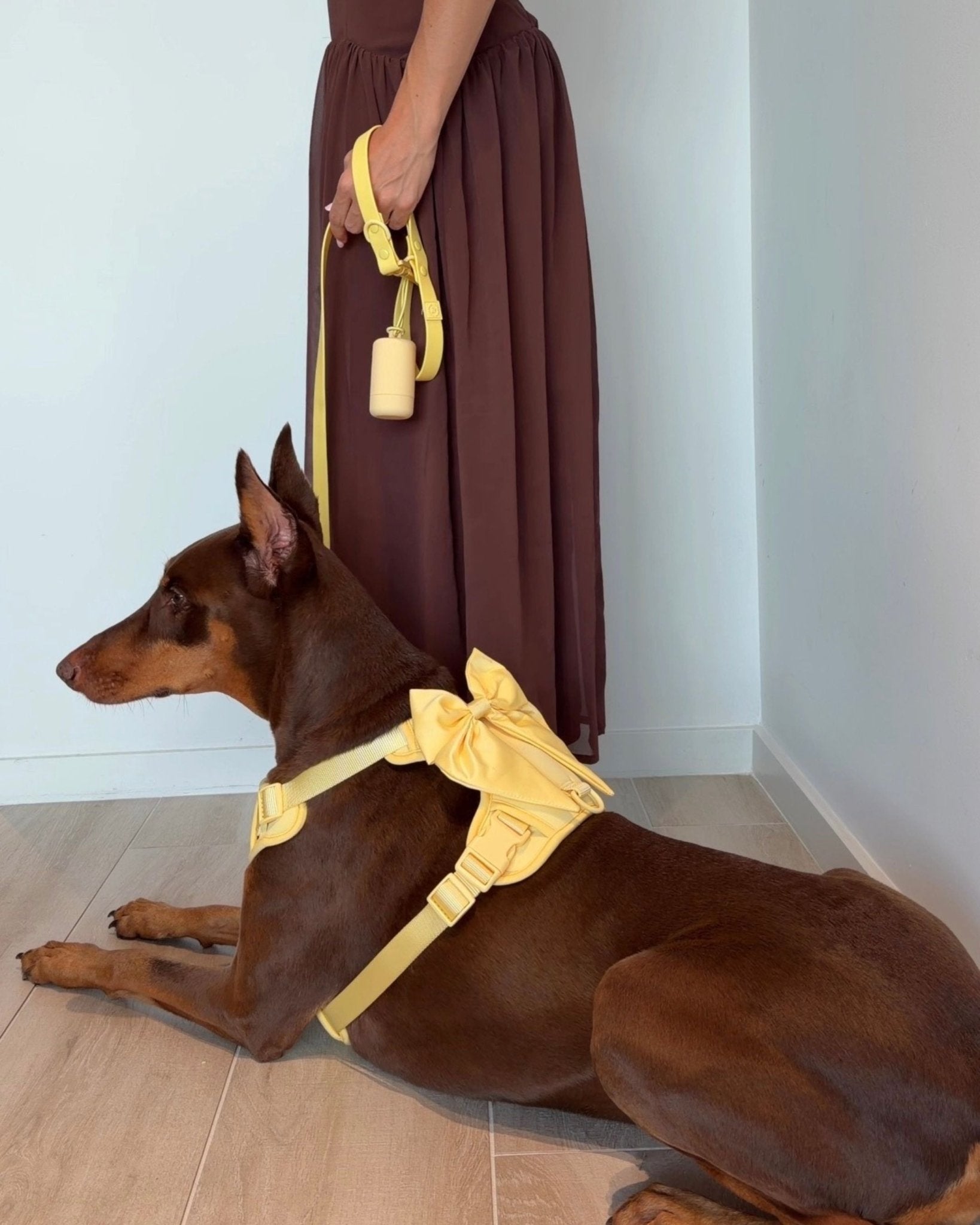 Wander! Multiway Leash - Buttercream - FURRY MUSE WAN-LEA-6FT-YL