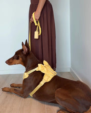 Wander! Multiway Leash - Buttercream - FURRY MUSE WAN-LEA-6FT-YL