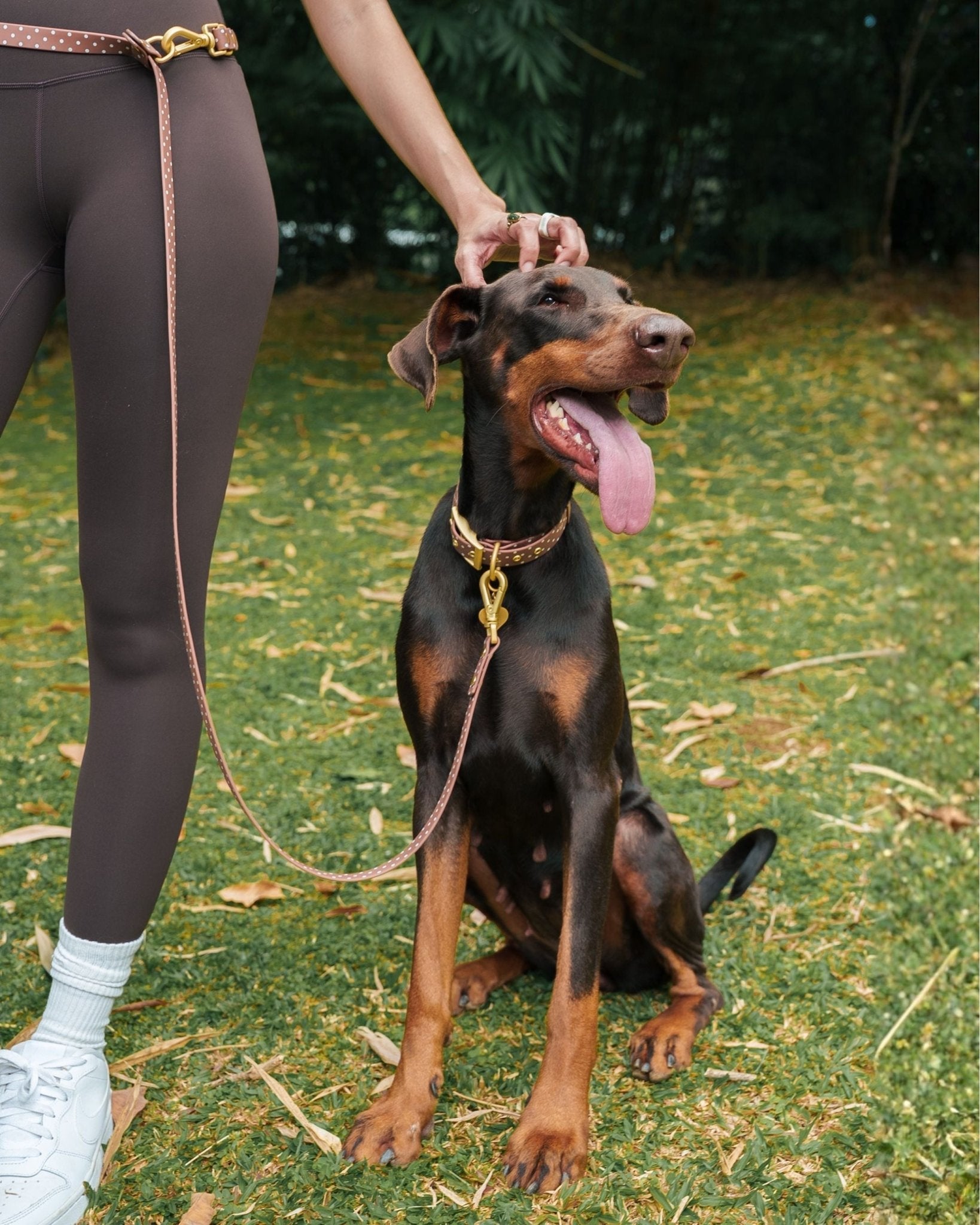 Wander! Collar 2.0 – Polka Dot | Waterproof Dog Collar with Gold
