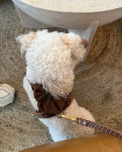 Wander! Multiway Leash - Cocoa Polka Dot - FURRY MUSE WAN-LEA-6FT-BRP