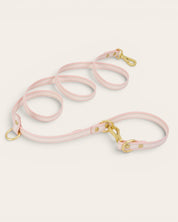 Wander! Multiway Leash - Lemonade Stripe - FURRY MUSE WAN-LEA-6FT-YPN-GO