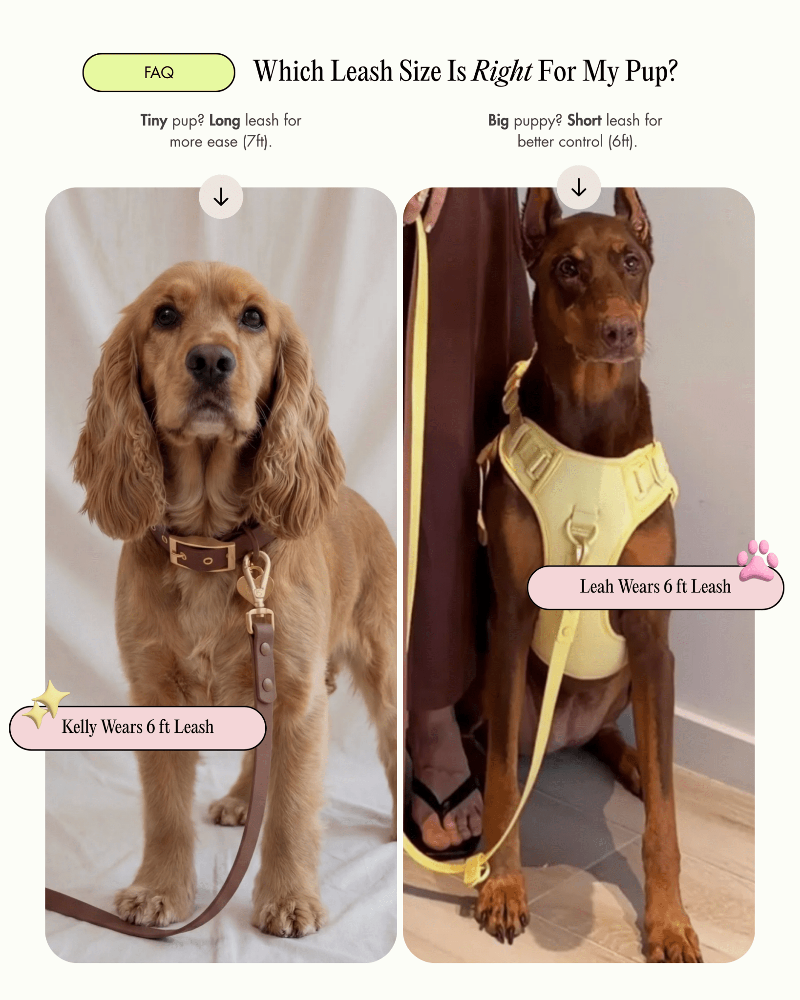 Wander! Multiway Leash - Matcha - FURRY MUSE WAN-LEA-6FT-GR