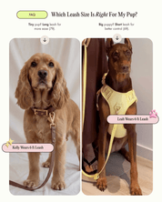 Wander! Multiway Leash - Matcha - FURRY MUSE WAN-LEA-6FT-GR