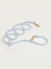 Wander! Multiway Waterproof Lead Sky - Sky / 6FT (Regular) / Gold