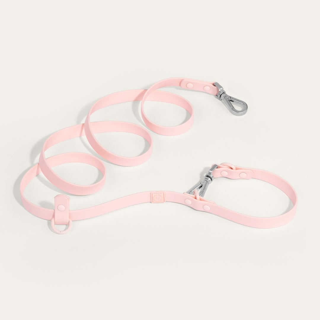 Wander! Multiway Waterproof Leash Blossom - FURRY MUSE WAN - LEA - S - PN