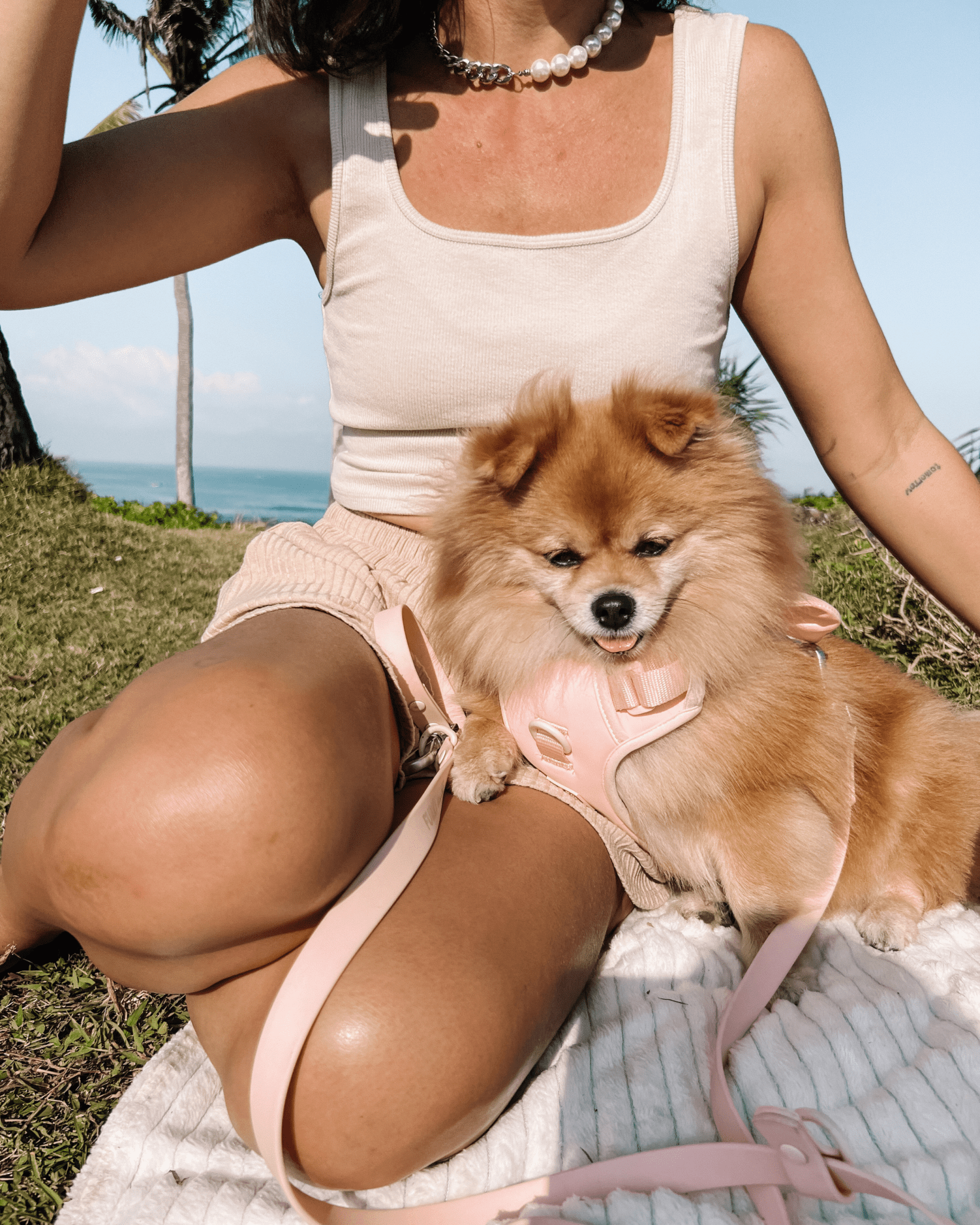 Wander! Multiway Waterproof Leash Blossom - FURRY MUSE WAN - LEA - S - PN