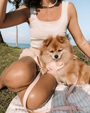 Wander! Multiway Waterproof Leash Blossom - FURRY MUSE WAN - LEA - S - PN