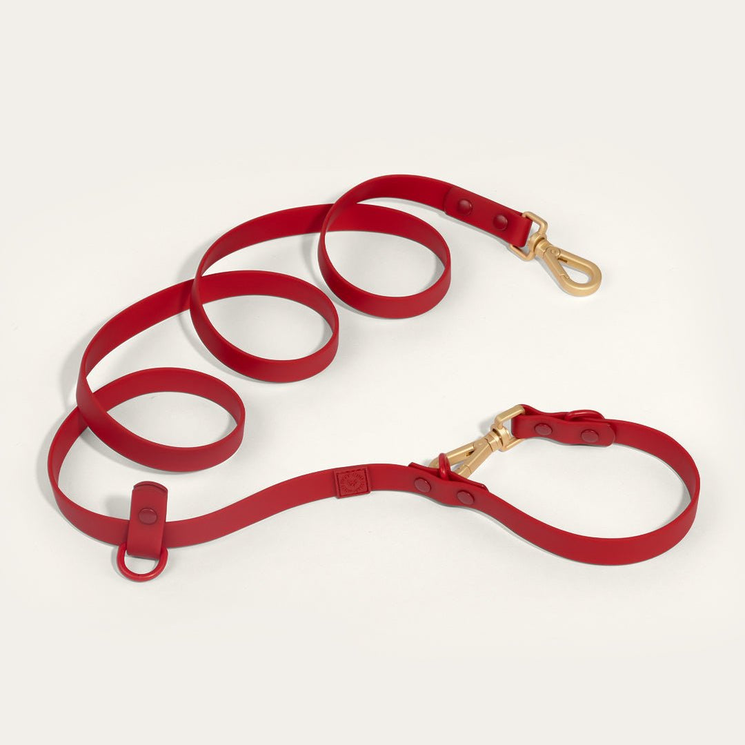 Wander! Multiway Waterproof Leash Cherry - FURRY MUSE WAN - LEA - S - RD