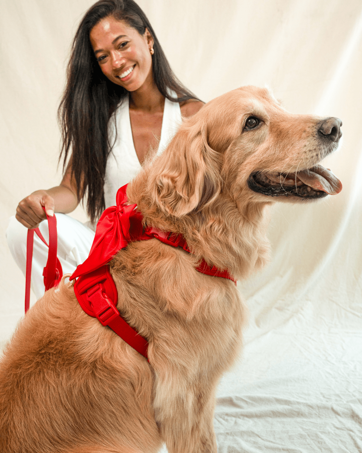 Wander! Multiway Waterproof Leash Cherry - FURRY MUSE WAN - LEA - S - RD