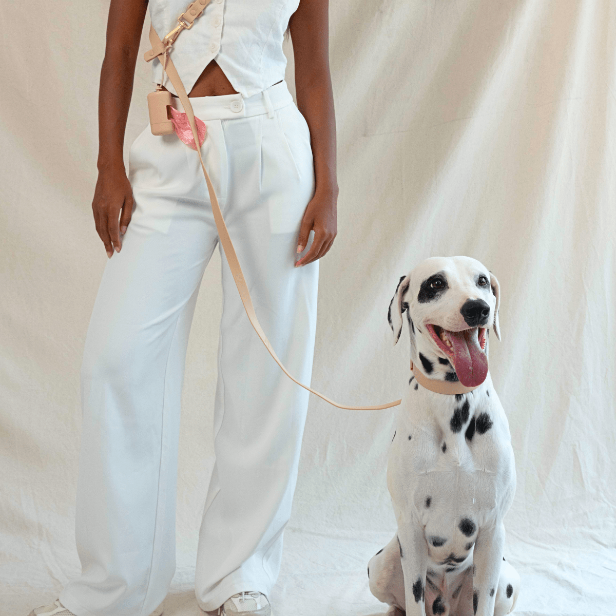 Wander! Multiway Waterproof Leash Latte - FURRY MUSE WAN - LEA - S - BR