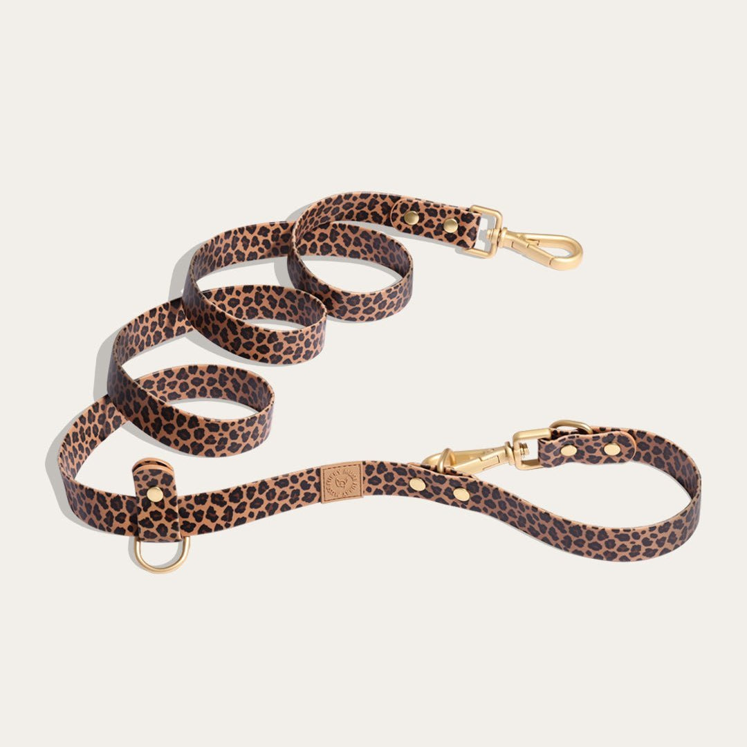 Wander! Multiway Waterproof Leash Leopard - FURRY MUSE WAN - LEA - S - LEO