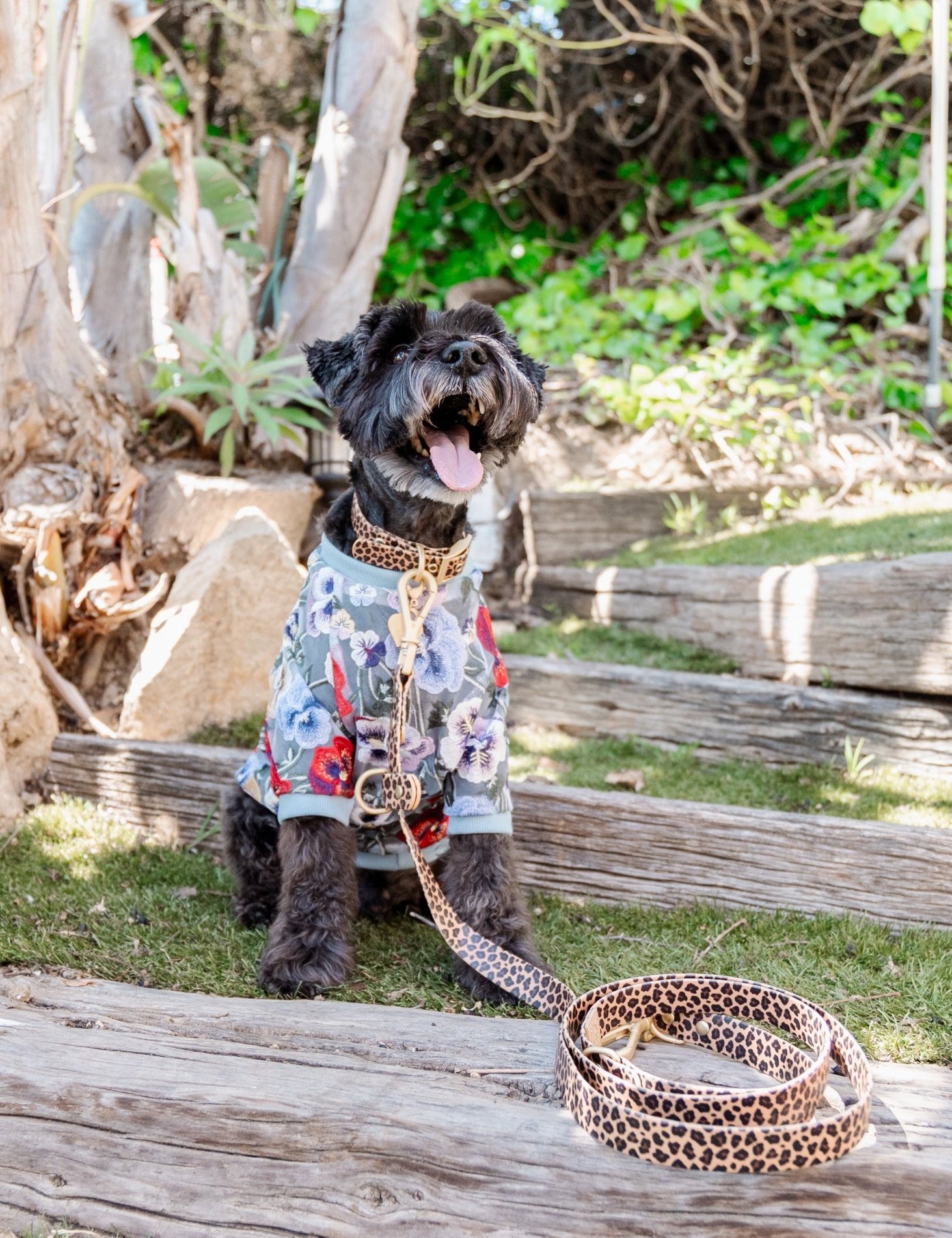 Wander! Multiway Waterproof Leash Leopard - FURRY MUSE WAN - LEA - S - LEO
