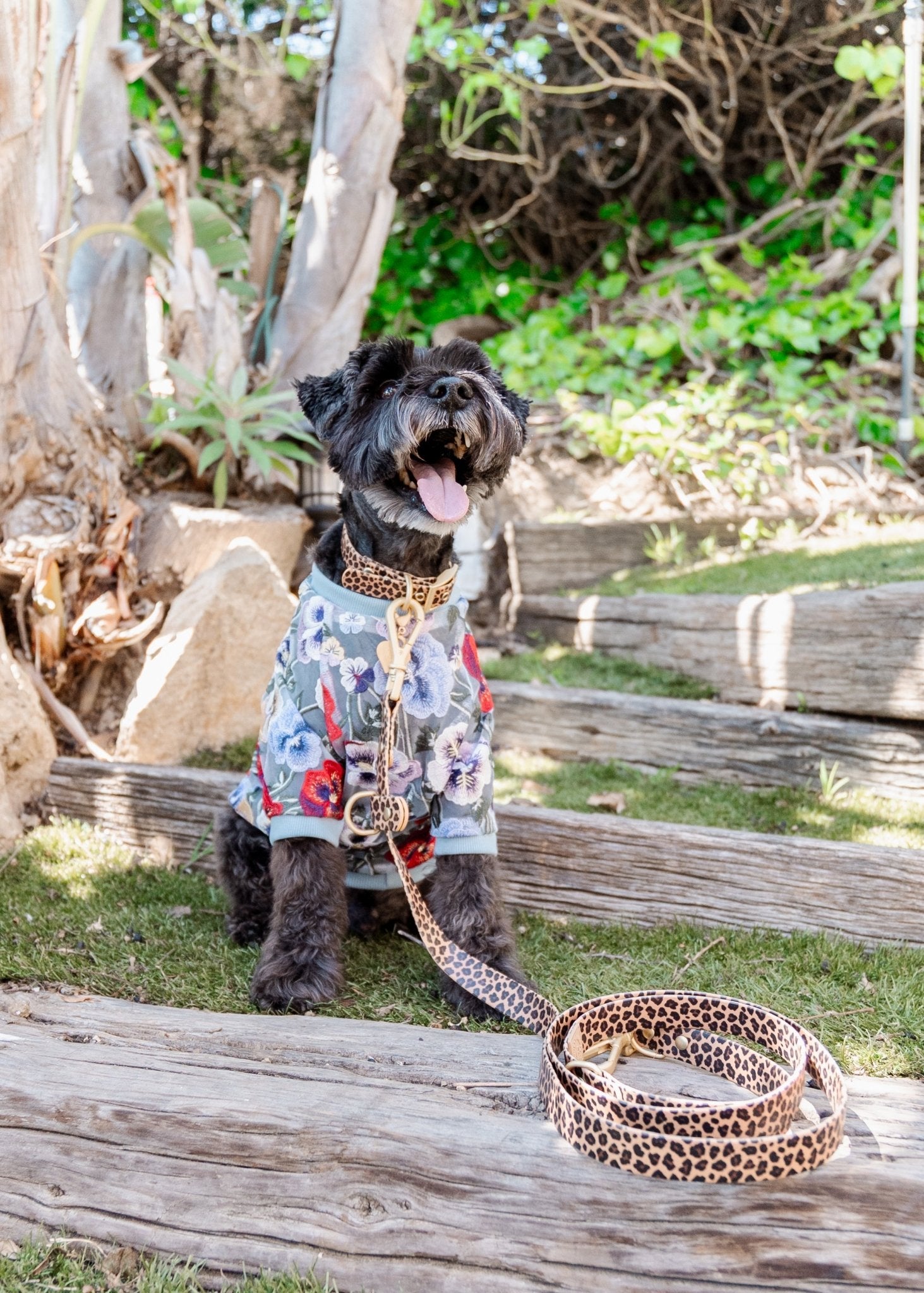 Wander! Multiway Waterproof Leash Leopard - FURRY MUSE WAN - LEA - S - LEO