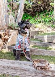 Wander! Multiway Waterproof Leash Leopard - FURRY MUSE WAN - LEA - S - LEO