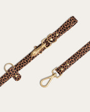 Wander! Multiway Waterproof Leash Leopard - FURRY MUSE WAN - LEA - S - LEO