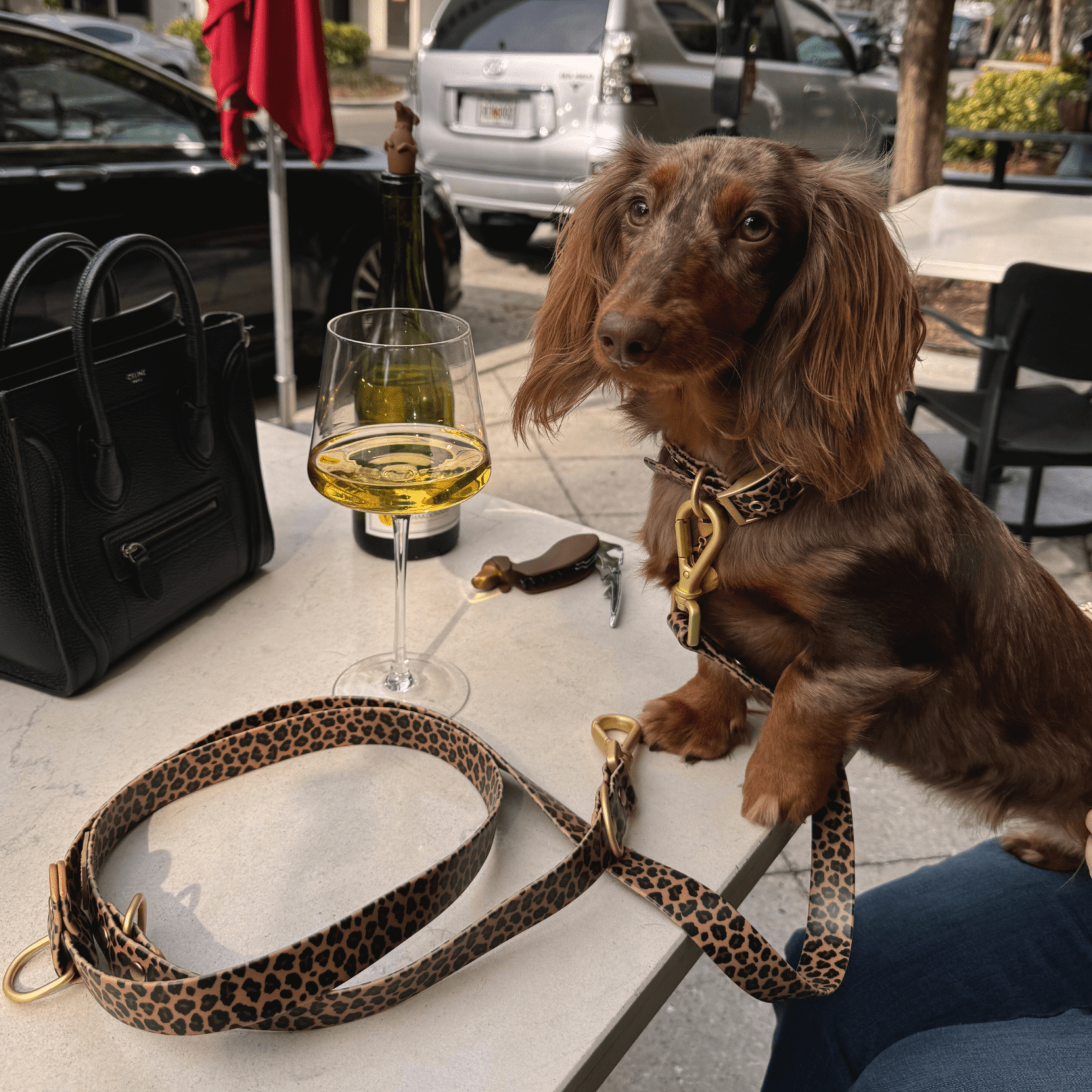 Wander! Multiway Waterproof Leash Leopard - FURRY MUSE WAN - LEA - S - LEO