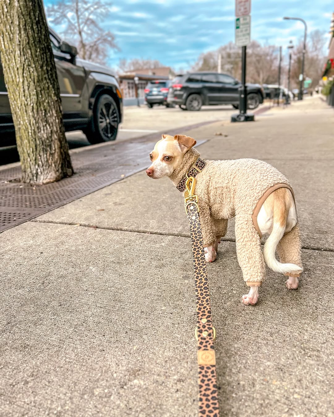 Wander! Multiway Waterproof Leash Leopard - FURRY MUSE WAN - LEA - S - LEO